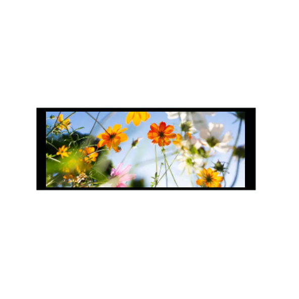 6.86 ນິ້ວ 480 × 1280 IPS Module TFT